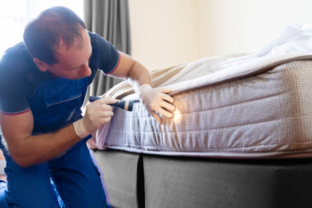 Best Fumigation Services  in Ironde, AL